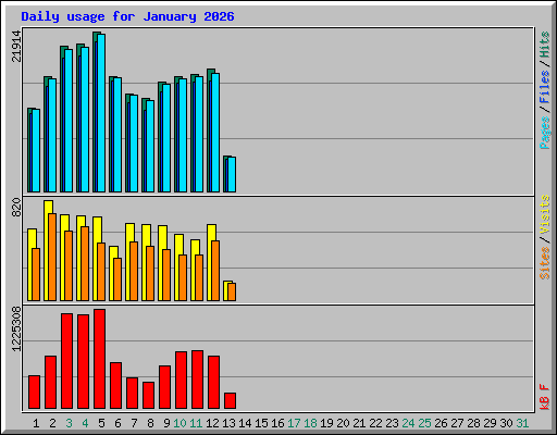 Daily usage for January 2026