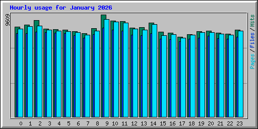 Hourly usage for January 2026