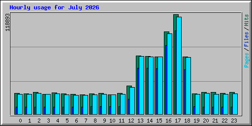 Hourly usage for July 2026