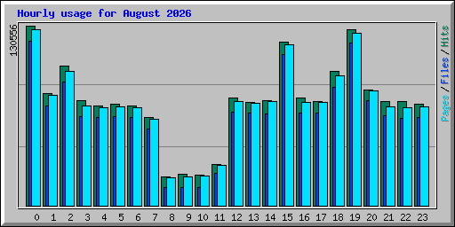 Hourly usage for August 2026